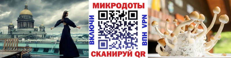 omg зеркало  как найти закладки  Амурск  Галлюциногенные грибы прущие грибы 